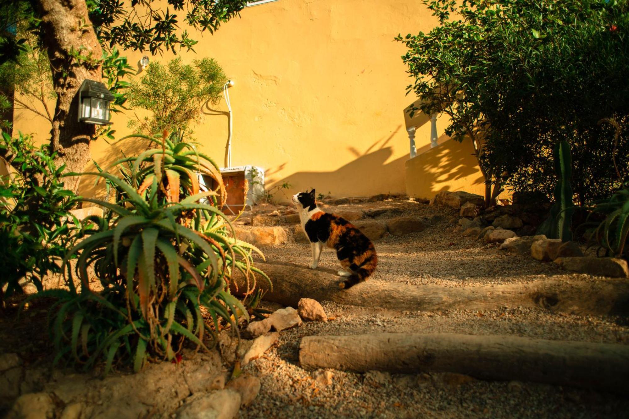 Easy Going Imsouane Bed and Breakfast Εξωτερικό φωτογραφία
