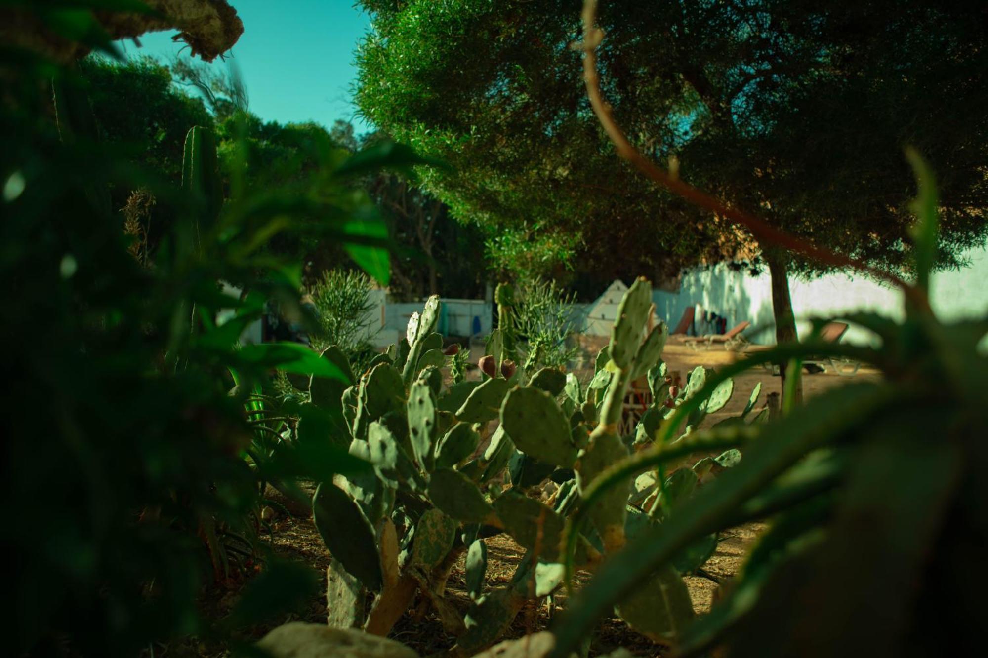 Easy Going Imsouane Bed and Breakfast Εξωτερικό φωτογραφία